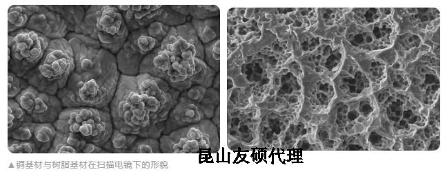 常德蔡司常德扫描电镜