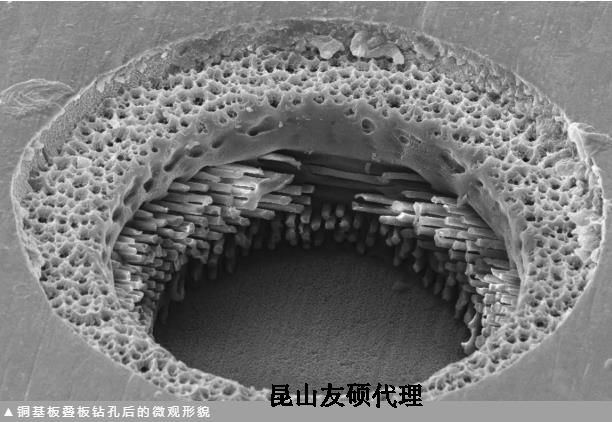 常德蔡司常德扫描电镜